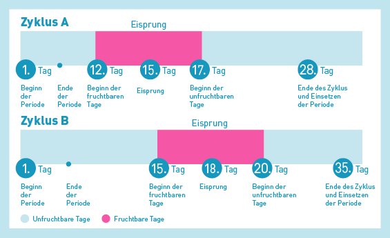 wann hat man seinen eisprung nach der periode